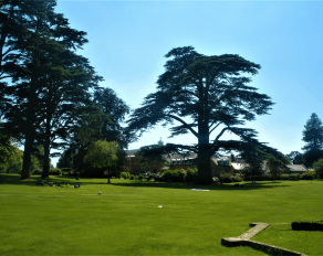 Park Finborough