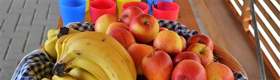 Obst Ernährung